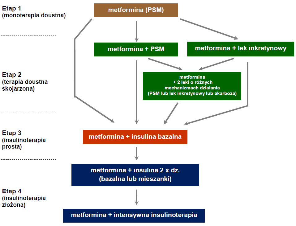 Algorytm postępowania w cukrzycy typu 2 zalecenia PTD 2013 metformina (PSM,