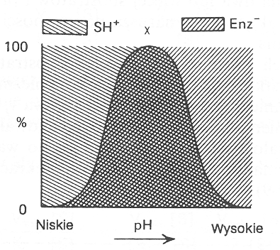 Wpływ ph na szybkość reakcji enzymatycznej optymalne wartości zwykle w przedziale 5,0 9,0 zmiana ładunków elektrycznych grup dysocjujących lub zwiększenie/zmniejszenie liczby wiązań jonowych wewnąrz-
