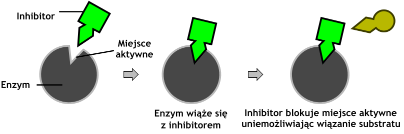 Inhibicja