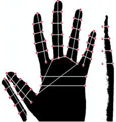 Modalności biometryczne Stosowane w praktyce modalności oparte o cechy fizyczne: - palec: odcisk, układ żył -