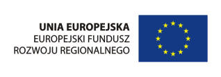 Operacyjnego Infrastruktura i Środowisko na lata 2007-2013 Leżajsk, 5 listopada 2012 W imieniu Zamawiającego O.