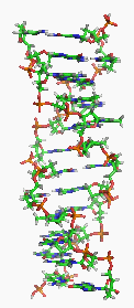 DNA wprowadzenie - KT w biologii Odkrycie w 1869 r.