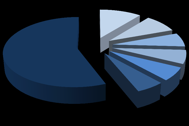 TFI SA 8,19% 8,06% 2,52% 6,94% Fundusze zarządzane przez Pioneer Pekao Investment Management SA Paweł Dłużewski Noble Funds TFI SA 56,21% Zdzisław