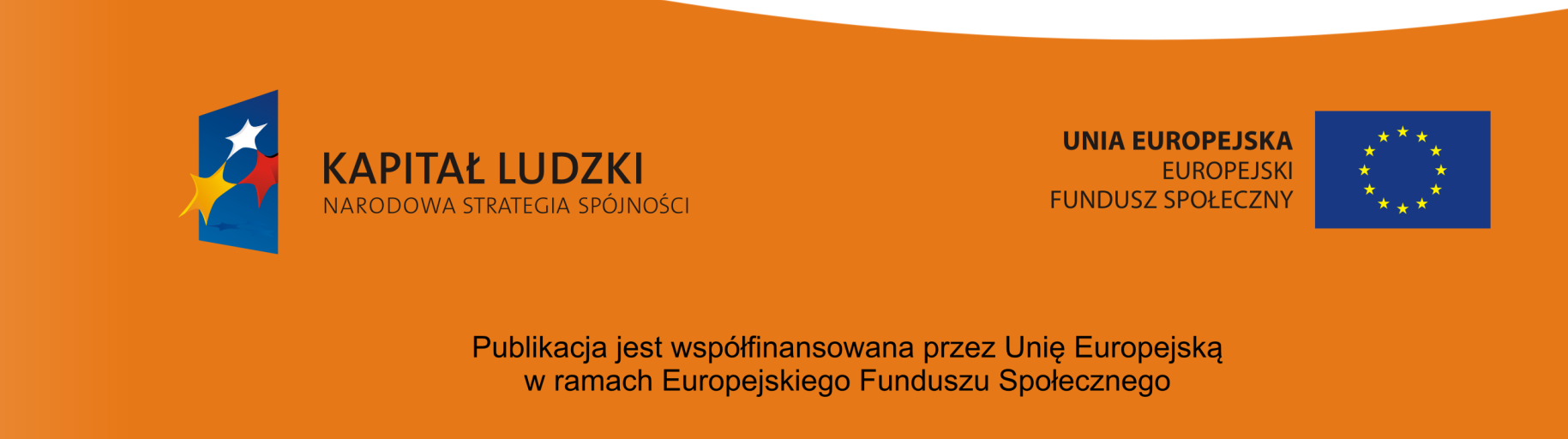 AKTUALNIE DOSTĘPNE KONCEPCJE OPISU I OCENY ZAINTERESOWAŃ I