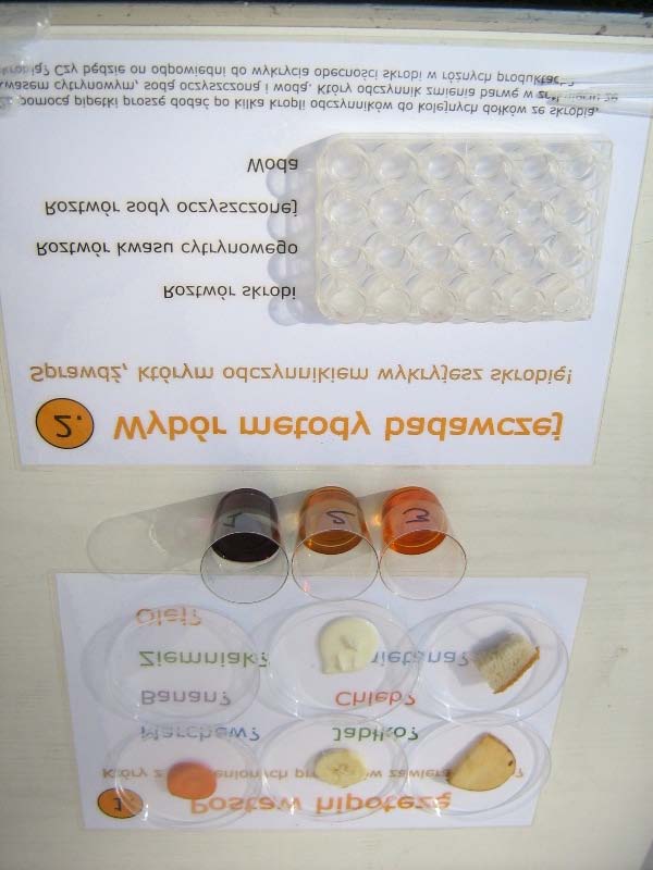 funkcjonowania i znaczenia zmysłów smaku i zapachu. Warsztaty były pełne ciekawych i zaskakujących informacji, a w ich trakcie uczestnicy degustowali różne produkty spożywcze.