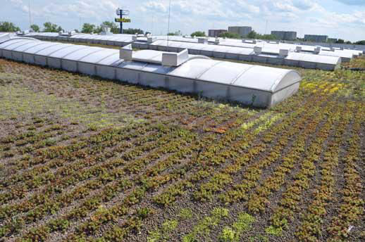 Market budowlany OBI - Zabrze System TUNDRA: 6 000 m2