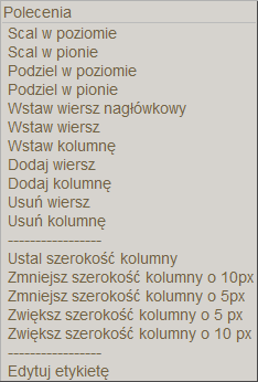 Sprawozdania jednorazowe Możemy tu wprowadzać opisy (etykiety) poszczególnych wierszy i kolumn nagłówkowych, zmieniać rozmiar kolumn, dzielić i scalać, dodawać i usuwać kolumny lub wiersze oraz