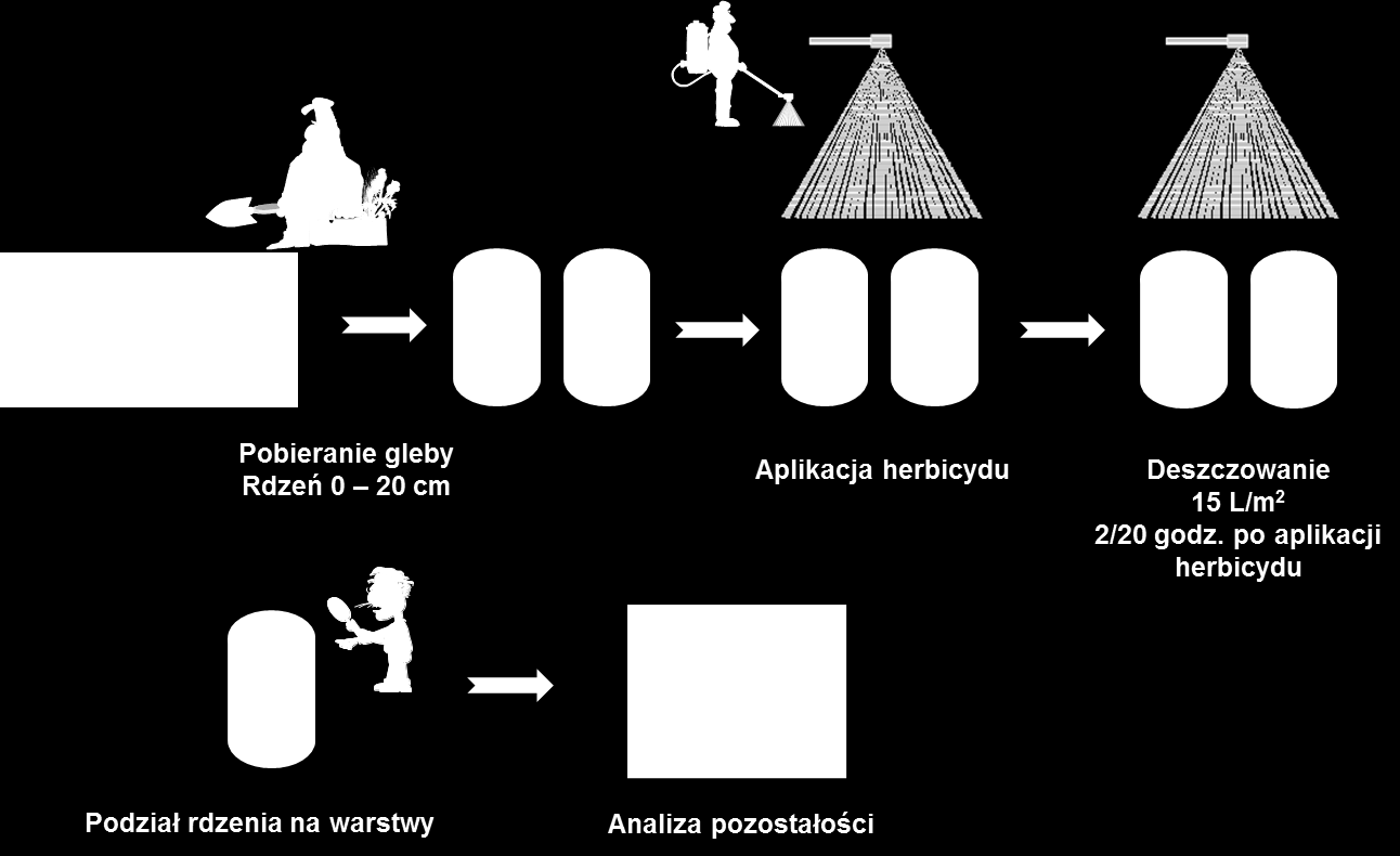 opadów: 2 i 20 godzin po aplikacji hericydu.