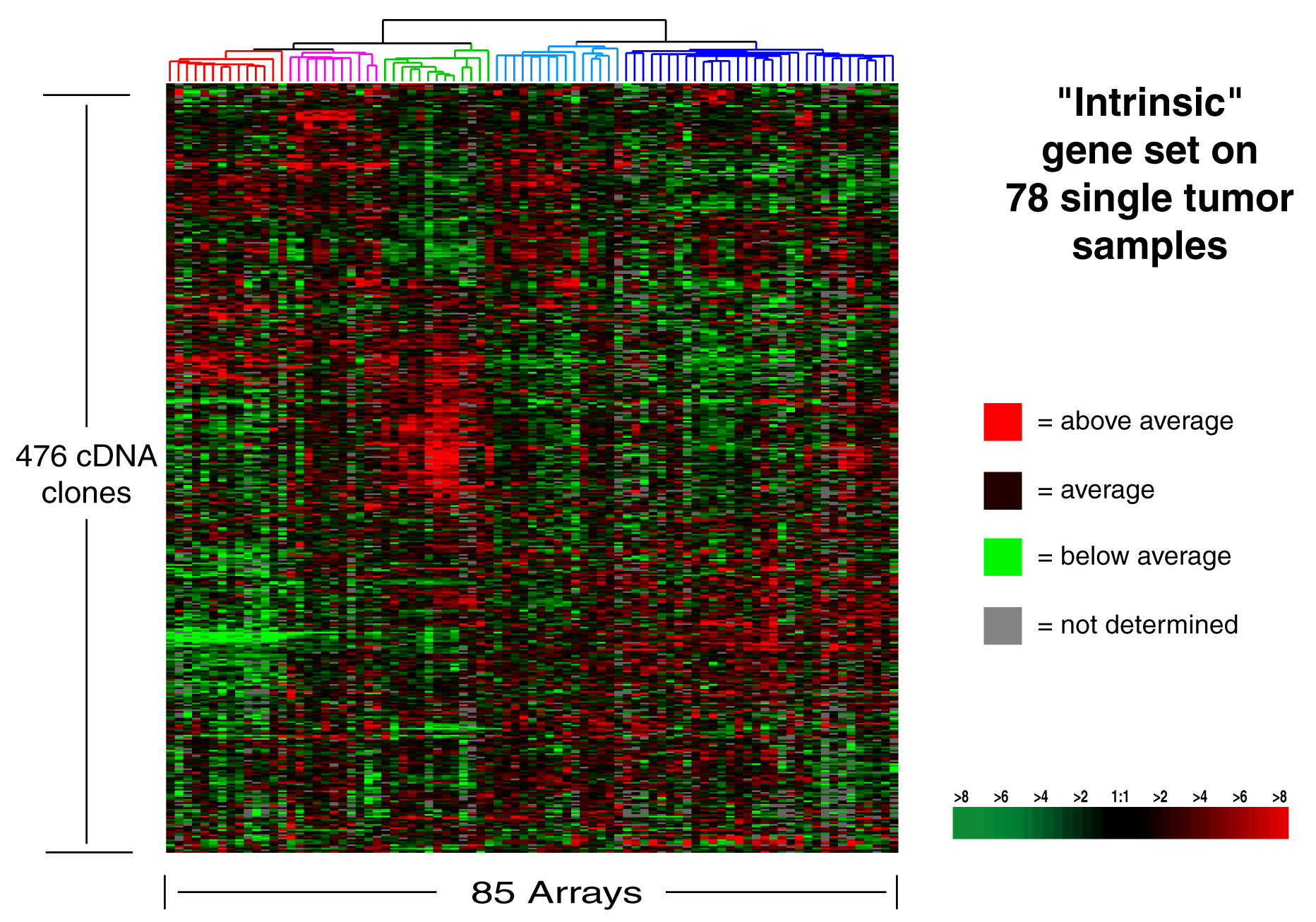 Sorlie T et al. PNAS.