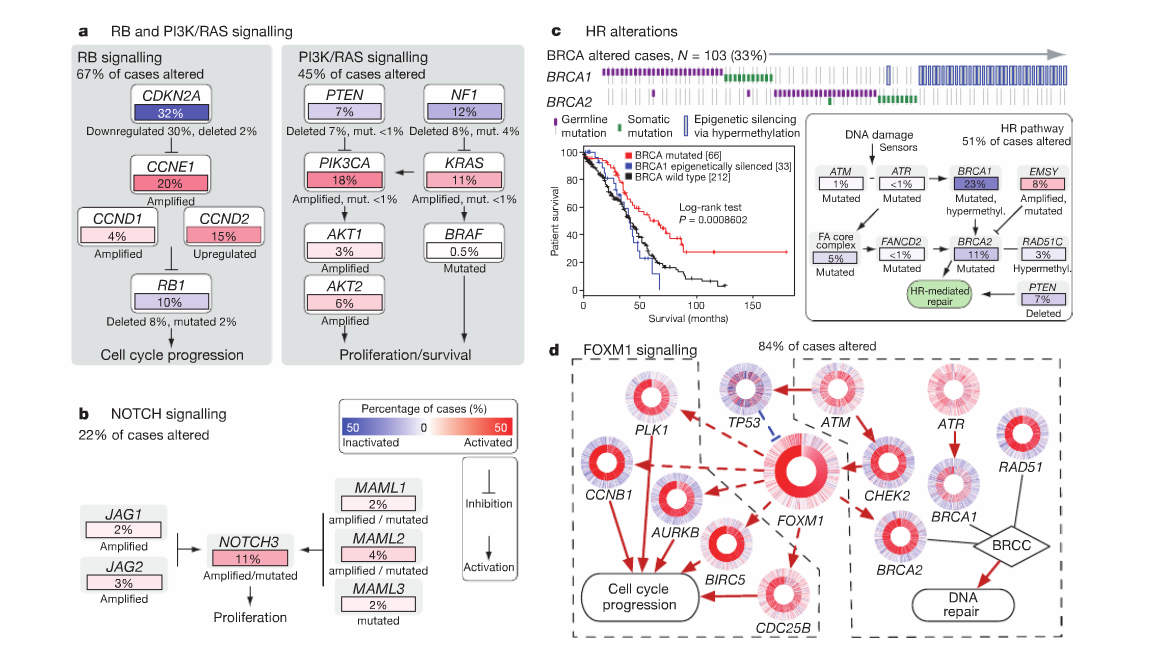 Analiza genomowa Integrated genomic analyses of