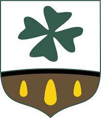 2.1.2 Powiat krośnieński Powiat krośnieński - powiat przygraniczny w województwie podkarpackim. Utworzony w 1999 roku w ramach reformy administracyjnej. Jego siedzibą jest miasto Krosno.