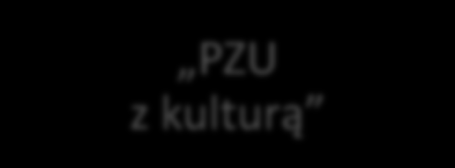 Fundacja PZU Konkursy dotacyjne Dotacje pozakonkursowe Dotacje dla osób fizycznych Z PZU po lekcjach Młodzi niepełnosprawni pełnosprawni z PZU PZU z kulturą W ramach dotacji pozakonkursowych,