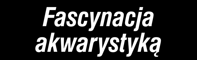 Więcej