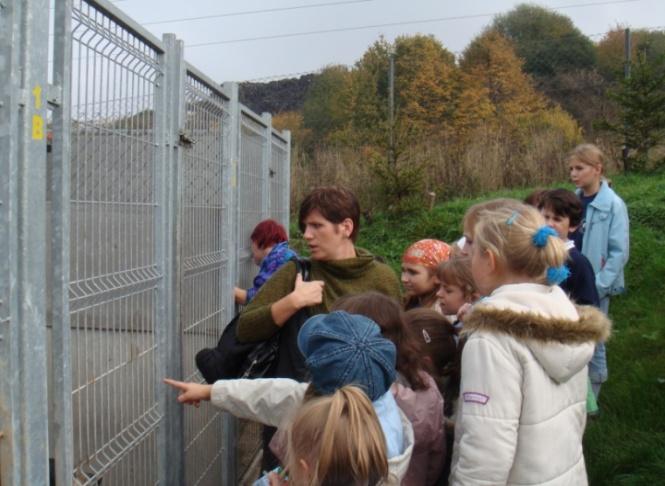 Bezdomnych Zwierząt za