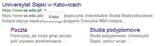 Kopia strony Aby zobaczyć link prowadzący do kopii witryny na stronie wyników wyszukiwania, kliknij przycisk