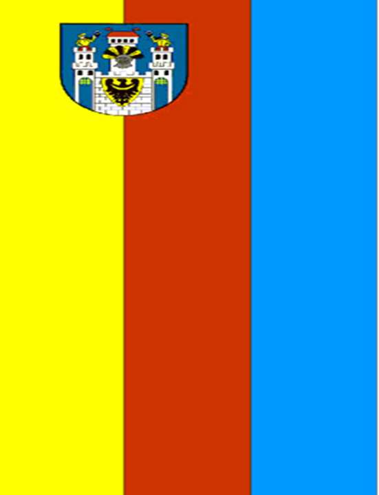 Sprawozdanie z działalności międzysesyjnej Burmistrza