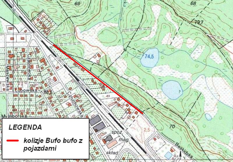 pl) Zalecenia ochronne na rok 2014 Na podstawie przeprowadzonych obserwacji wskazujemy na konieczność podjęcia w przyszłości działań na rzecz aktywnej ochrony płazów w dzielnicy Strzeszyn w sezonie
