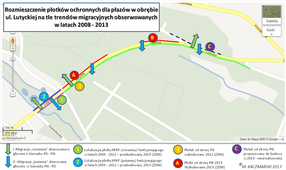 Rysunek 1. Plan sytuacyjny zawierający trendy migracyjne płazów wraz z wrysowanymi lokalizacjami płotków ochronnych funkcjonujących w latach 2008 2013 (oprac. Kaczmarski Mikołaj; źródło mapy: maps.