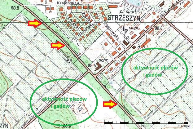 Rysunek 3. Odcinek ul. Krajeneckiej wzdłuż zbiornika wodnego, gdzie występuje śmiertelność migrujących płazów (oprac. Flesch Aleksander; źródło mapy: www.geoportal.gov.pl) 2) ul.