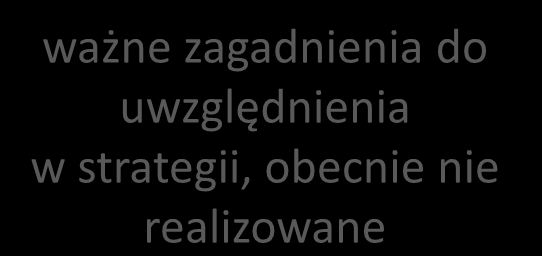 SYNERGENTIA. Zagadnienia istotne dla startegii Klient SYNERGENTIA.