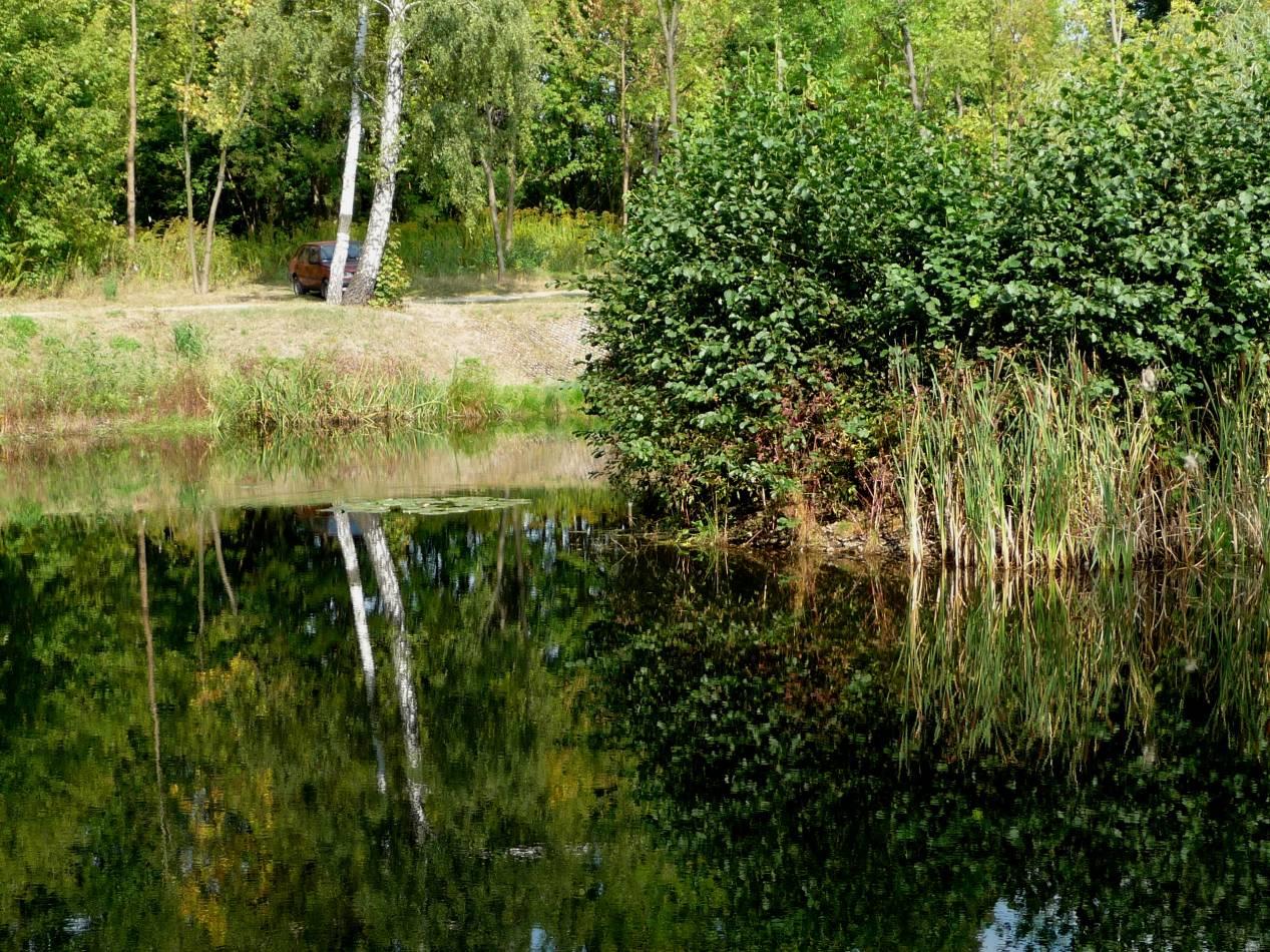 KROK 3: Podniesienie pojemności absorpcyjnej