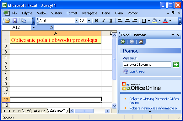 Przetwarzanie i organizowanie danych: arkusz kalkulacyjny 18