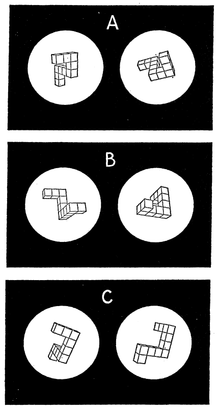 Wskaźniki okulomotoryczne w rotacji wyobrażeniowej W badaniach umysłowej rotacji obiektów zadaniem uczestników jest podjęcie decyzji, czy dwa obrazy pokazują ten sam obiekt.