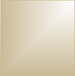 LAN