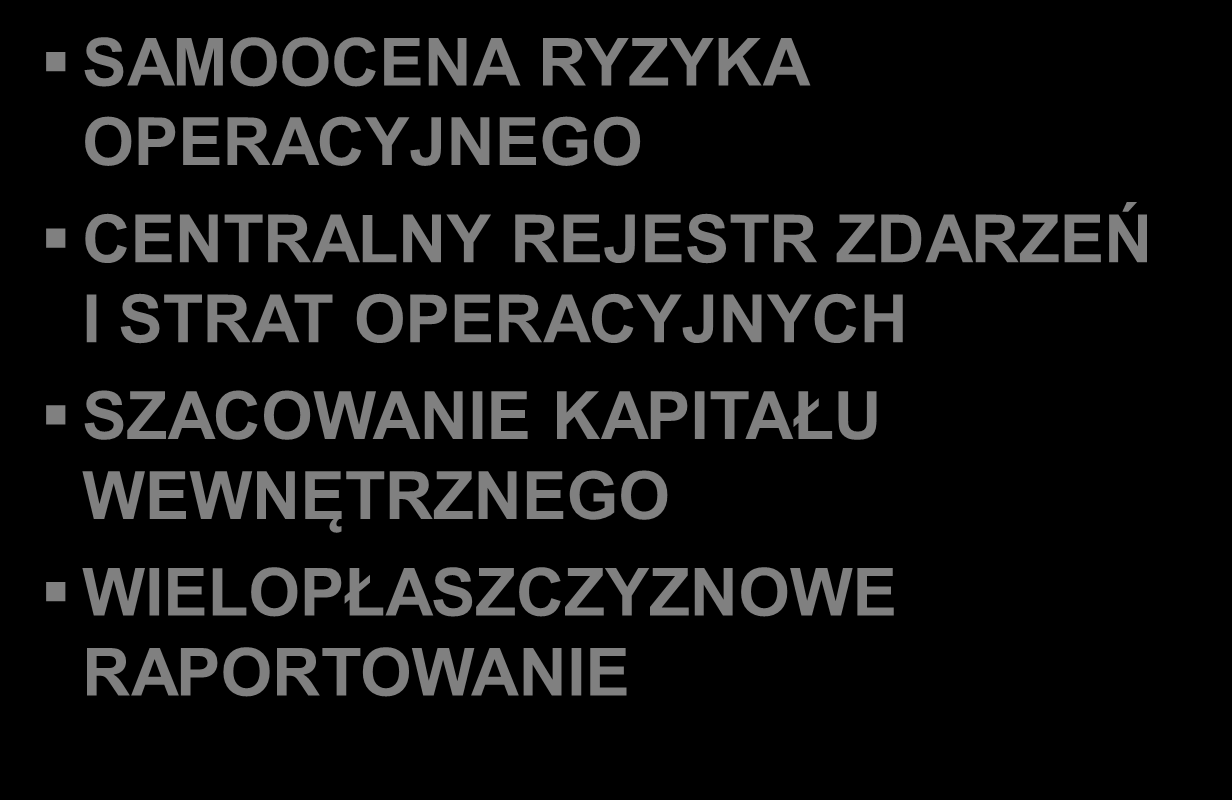 PROGRAM risk AB RYZYKO OPERACYJNE KLUCZOWE FUNKCJONALNOŚCI risk AB SAMOOCENA RYZYKA OPERACYJNEGO