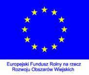 Adres strony internetowej, na której Zamawiający udostępnia Specyfikację Istotnych Warunków Zamówienia: bip.nisko.