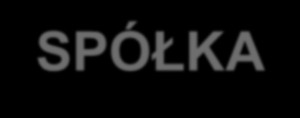 Przygotowanie rekomendacji dla projektu. II. PREINKUBACJA. Opracowanie planu operacyjnego: 1. Audyt zdolności patentowej badanie zdolności i czystości patentowej. 2.