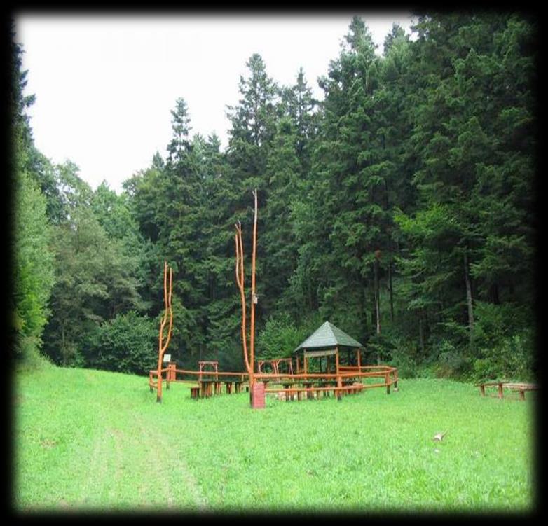 SZLAK ŻÓŁTY - PROWADZI Z CZUDCA, PRZEZ NOWĄ WIEŚ, ŁĘTOWNIĘ,