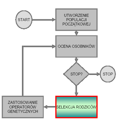 Populacja początkowa Wybrór osobników Nowa generacja Krzyżowanie Mutacja Explicit fitness remapping Normalizacja wartości przystosowania