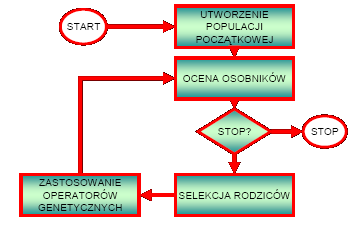 PAG 1 Stawiamy licznik generacji g=0 2 Inicjalizacja populacji C g złożonej z N osobnikow 3 Dopóki!