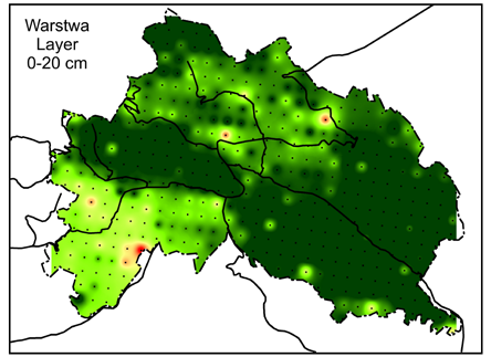 C. Kabała et al.