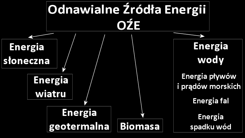 Rodzaje