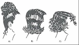 34. Poniższy rysunek przedstawia przekrój łodygi włosa. Cyfrą 4 oznaczono: 35. Poniższy rysunek przedstawia przekrój łodygi włosa. Cyfrą 2 oznaczono: 36.