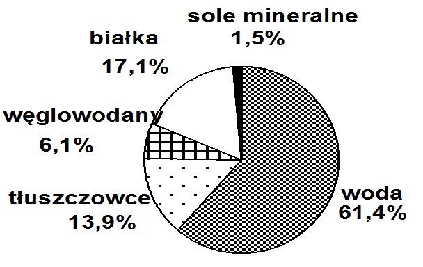 Wybierz z proponowanych trzech jogurtów ten, który jest najbardziej wskazany dla osoby zagrożonej miażdżycą naczyń krwionośnych. Odpowiedź uzasadnij jednym argumentem. Zadanie 7.