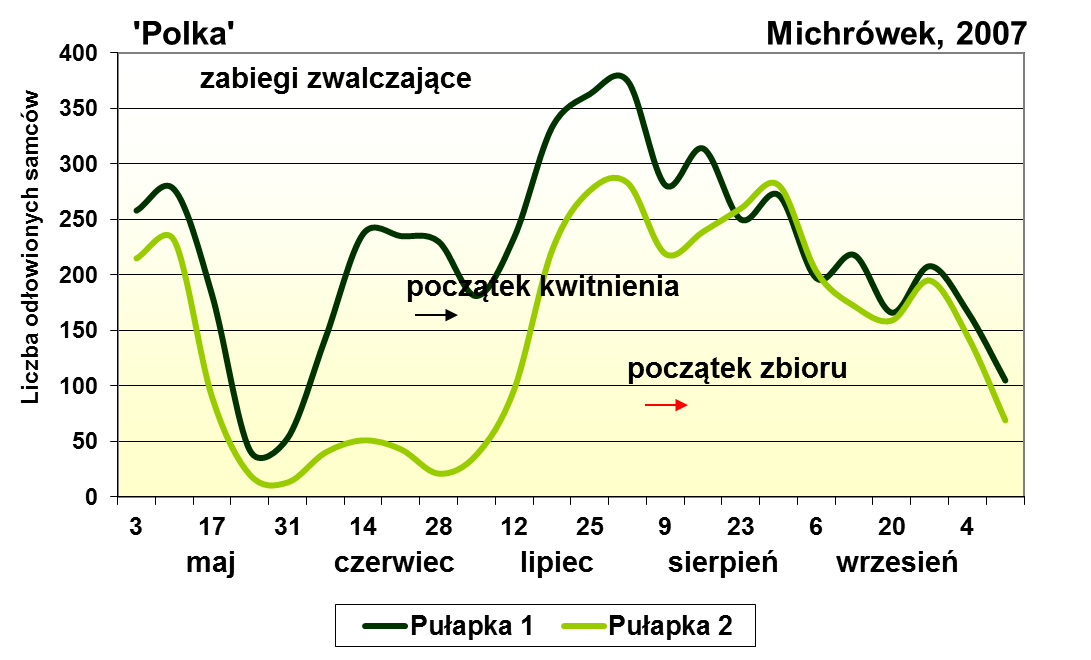 jego zwalczania. Więcej szczegółów przedstawiono w materiale przygotowanym przez mgr M. Tartanus i współautorów. Rysunek 1.