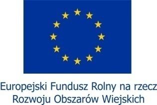 Fundacja Lokalna Grupa Działania Spichlerz Górnego Śląska ul.