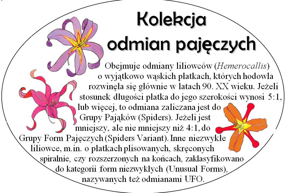 Tablica odmiany