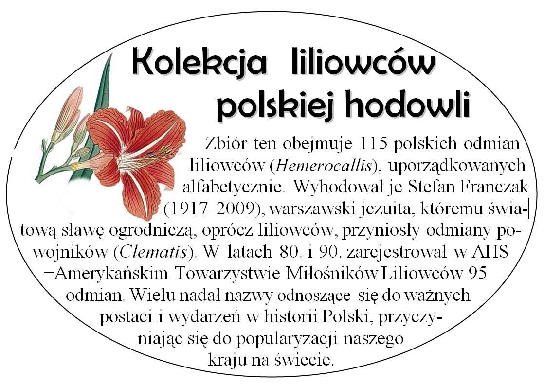 Tablica odmiany S.