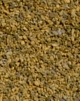 POLLYTAG