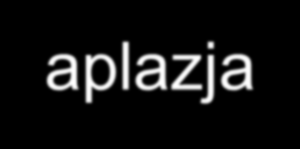 Wskazania hematologiczne do przeszczepienia komórek krwiotwórczych Choroby nowotworowe: ostre i przewlekłe białaczki, chłoniaki ziarnicze i nieziarnicze, zespoły mielodysplastyczne, szpiczak