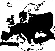 body=desc To pióra bogatki: MODRA Parus caeruleus Sikora modra jest rozpowszechniona w Europie z wyjątkiem północnej Skandynawii, i najbardziej wysuniętych na północ