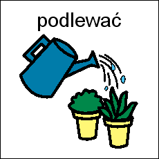 1. Jakiego kwiatka sadził Staś? 2. Co robiły ręce Przemka?