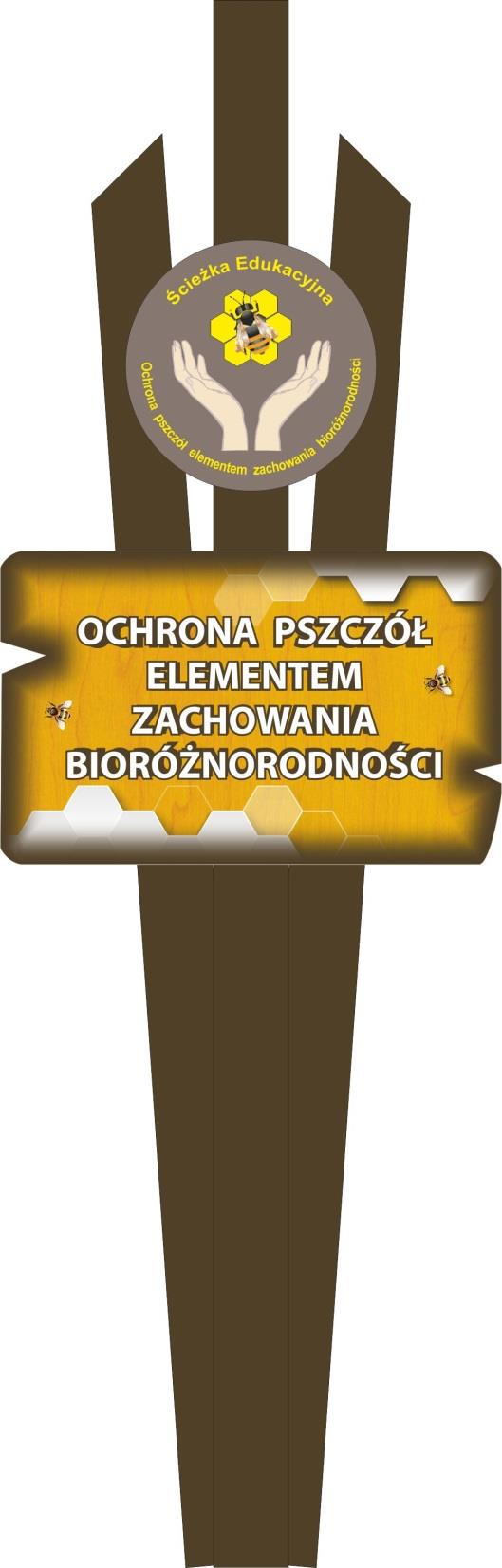 Dalszy rozwój ścieżki edukacyjnej Ochrona