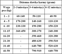 (0,047%), witaminy. ANALIZA wilgotność 9%, białko surowe 30%, tłuszcze i oleje surowe 16%, włókno surowe 2.5%, popiół surowy 6%, wapń 1.5%, fosfor 0.9%, kwasy Omega 3 0,9%, kwasy Omega 6 2,7%.