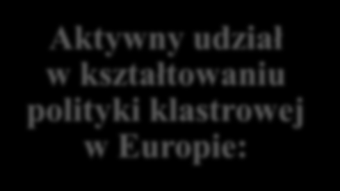 Rezultaty działań PARP w zakresie wsparcia klastrów 1/4 Aktywna rola w procesie kształtowania polityki klastrowej w Polsce: PARP Partnerem w Tworzeniu