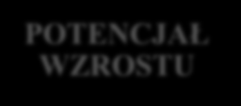 komunikacja wewnętrzna aktywność rynkowa marketing kreowanie wiedzy i innowacji ludzkie know how finansowe infrastruktura PROCESY ZASOBY KLASTER POTENCJAŁ